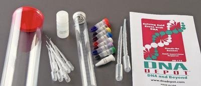 DD-133 DNA Lab Activity Kit - Forensic Science Cold Case Investigation - Educational Classroom STEM Project for High School & College Students