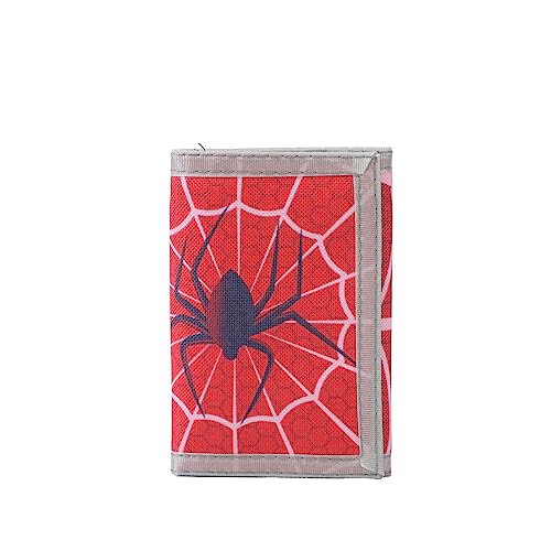 Spiders