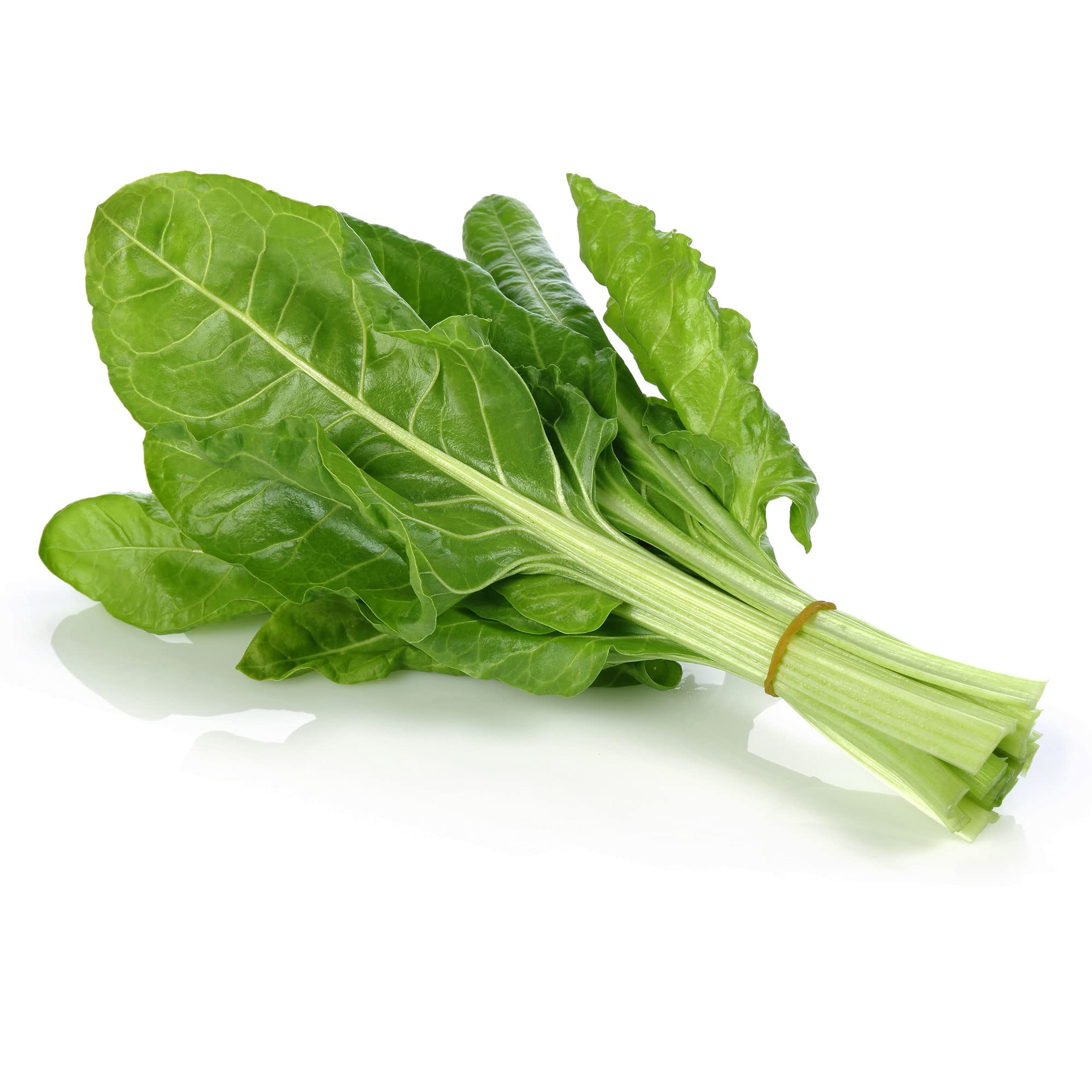 Organic Swiss Chard Seeds - Japanese Umaina Heirloom Variety - 1 Pound (~30,400 Seeds) - Non-GMO, Open-Pollinated - Perfect for Asian Cuisine, Home Gardens & Microgreens Cultivation - Great for Stir-fries, Salads and Healthy Smoothies