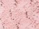 Wood Rose Pink