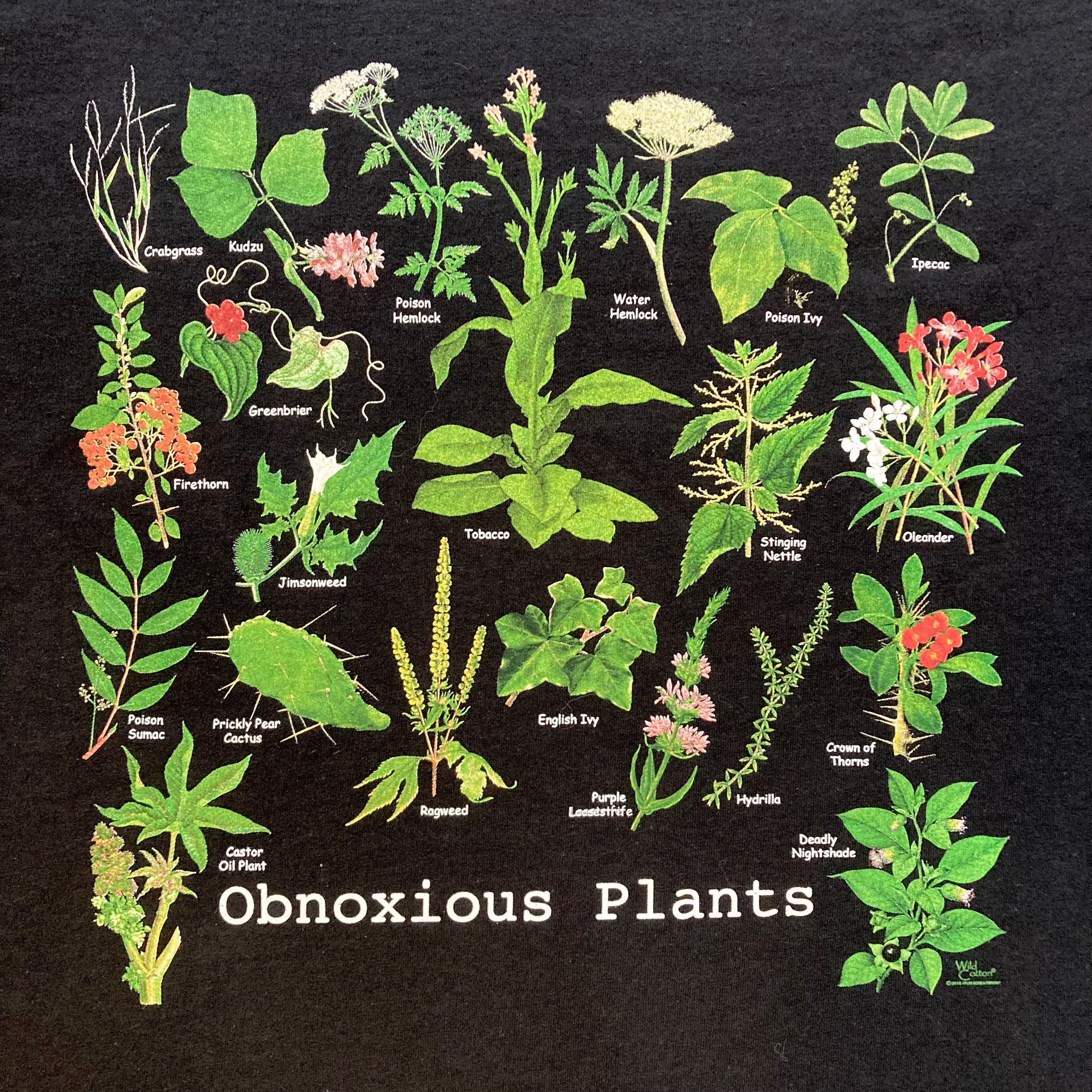 Funny Obnoxious Plants Graphic T-Shirt for Men & Women - Trendy Botanical Print Tee for Casual Wear, Gifts, and Plant Lovers