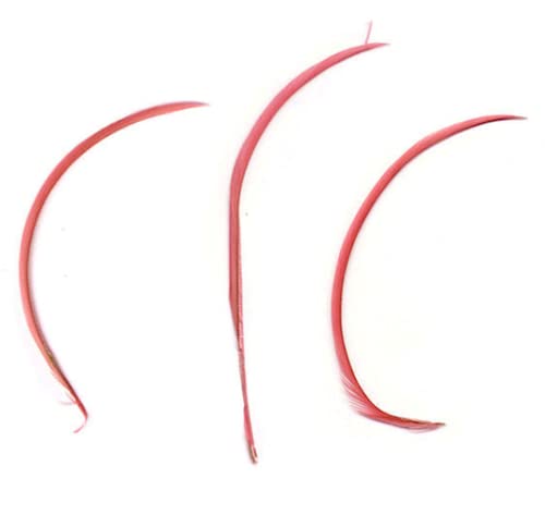 Gregory Crafts & Gifts - 3 Pack Coral Pink Biot Feathers for Millinery Hats, Fascinators, Wedding Decorations - Long Decorative Feathers for DIY Crafts, Costume Accessories, and Party Decor