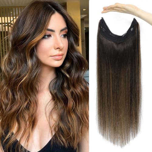 Dark Brown to Chestnut Brown