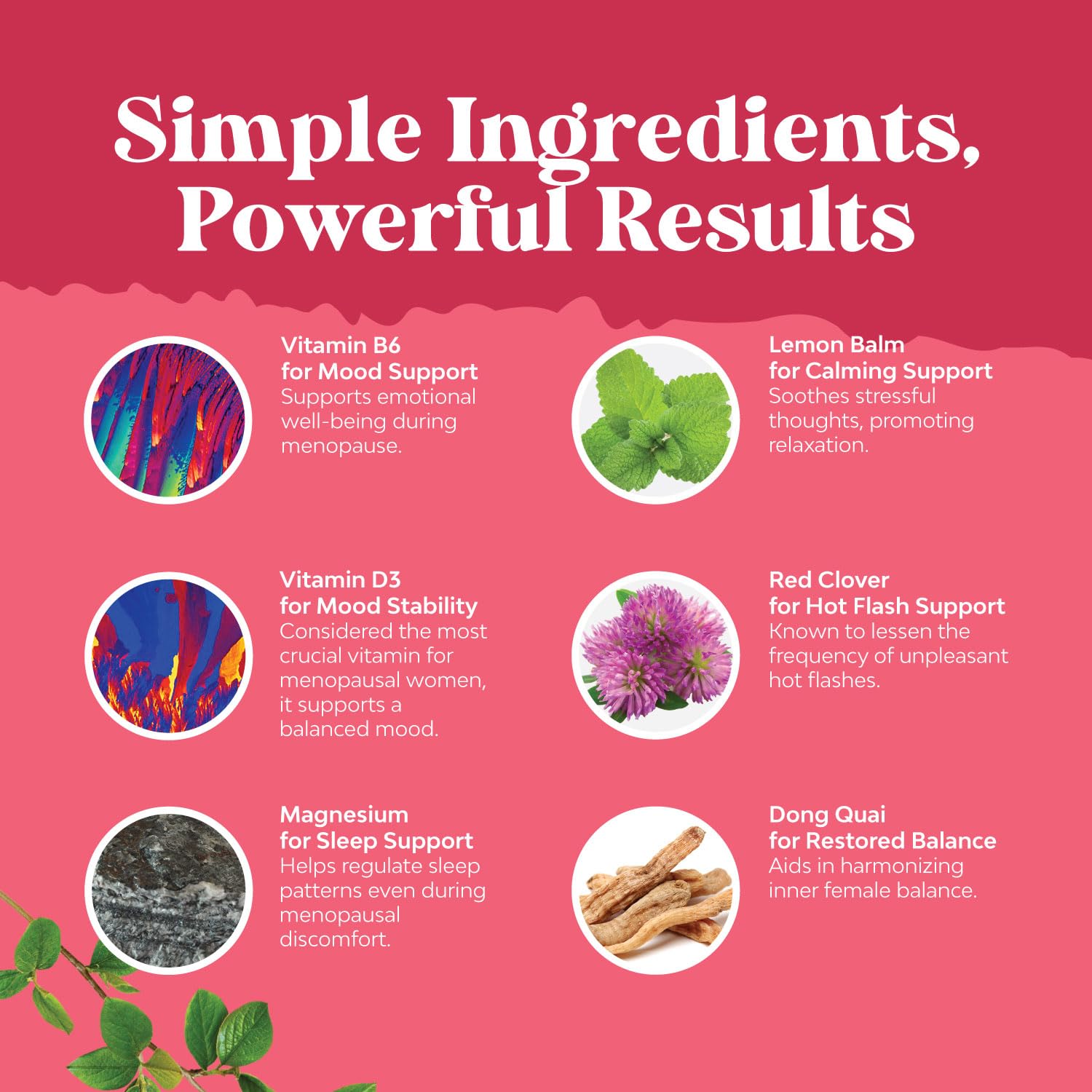 Herbal Menopause Supplement & 10000mcg Biotin Pills for Women & Men - Estrogen Balance Support & Hair Loss Prevention - Natural Vitamins for Hot Flash Relief & Healthy Hair Growth - Perfect for Daily Wellness Routine & Beauty Care
