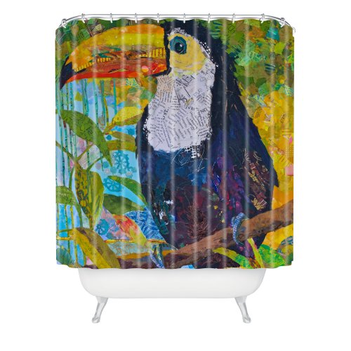 Toucan 1
