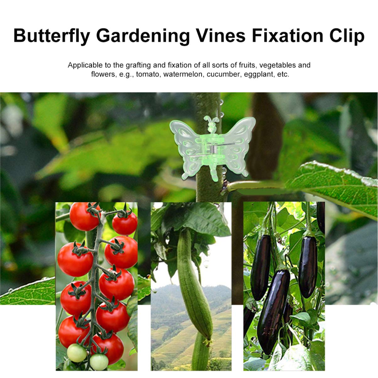 DOITOOL 30pcs Ladybug Shaped Garden Flower Clips - Plant Grafting Clamps, Vine Support Rings & Trellis Clips for Orchid Bonsai, Stem Support - Perfect for Indoor/Outdoor Gardening, Greenhouse & Plant Training