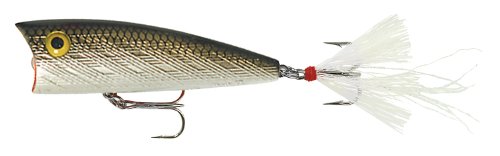 Tennessee Shad