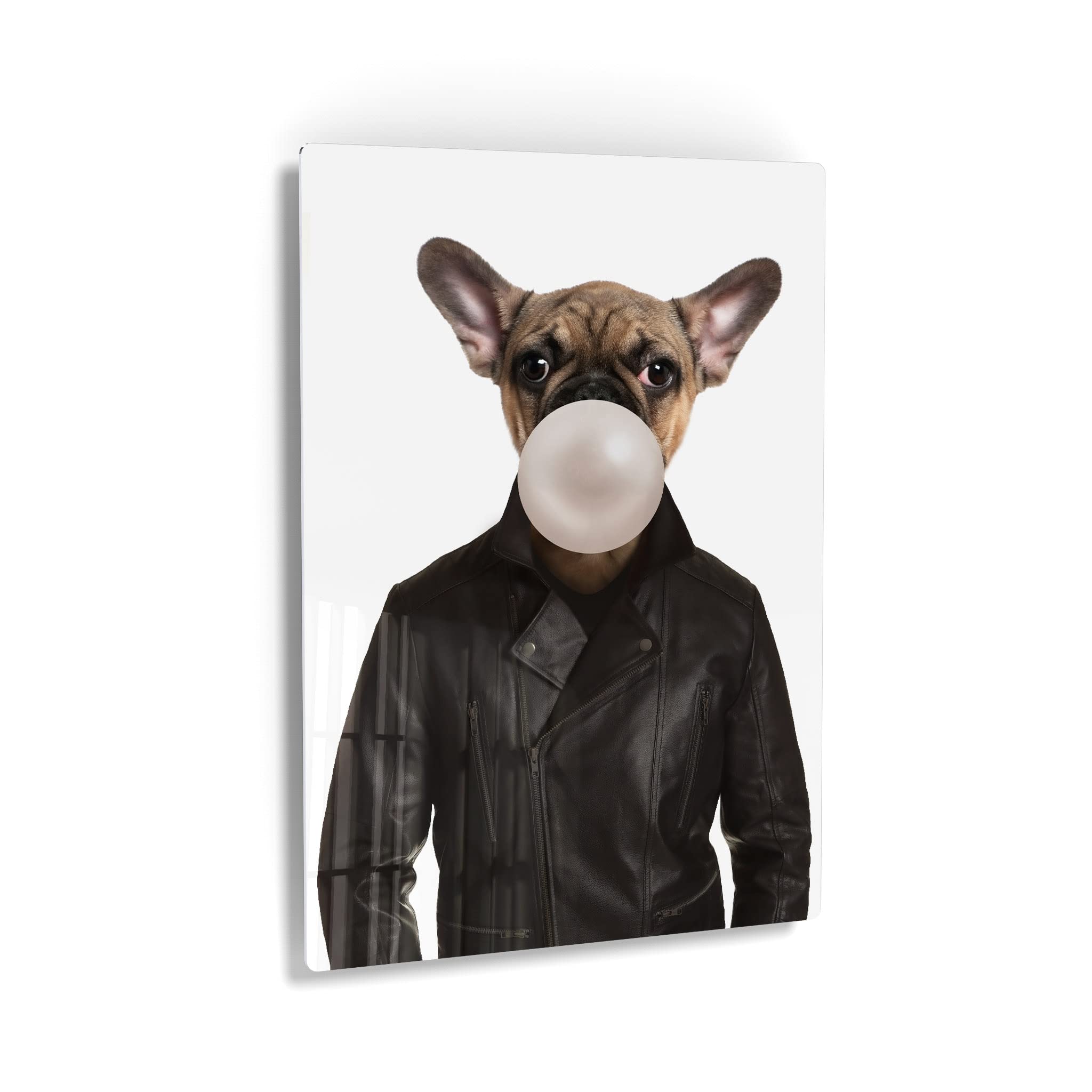 French Bulldog Portrait in Leather Jacket Chewing Bubble Gum - Metal Wall Art Print for Pet Lovers, Dog Decor for Living Room, Bedroom, Nursery & Kids Room - 36x24 Inches - Perfect Gift for Animal Lovers & Home Decor Enthusiasts