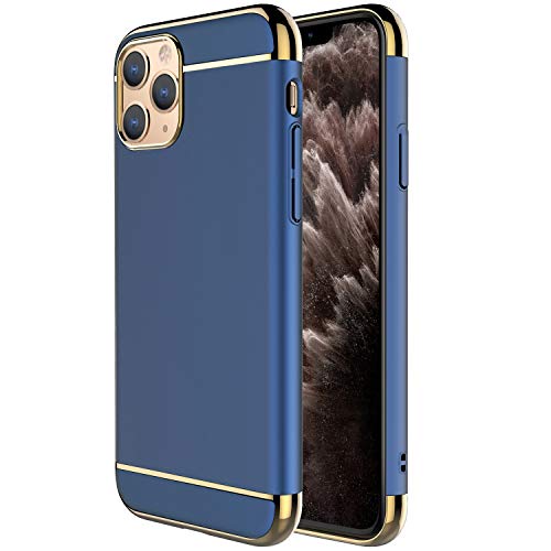 Blue and Gold