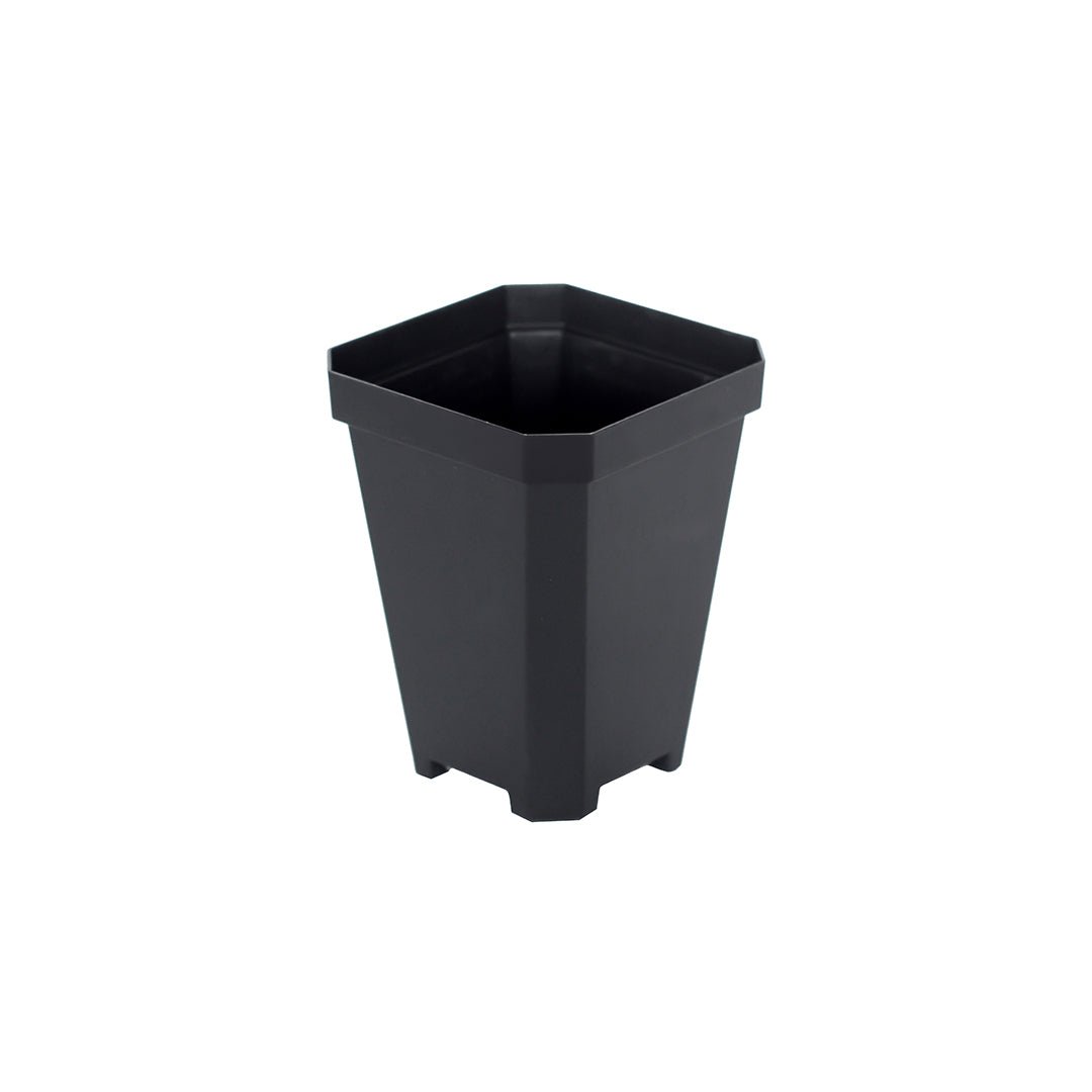Bootstrap Farmer Heavy Duty Seed Starting Pots 3.3