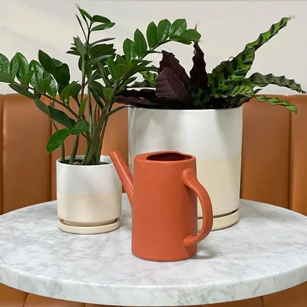 Premium Glass Gemstone Watering Pitcher for Plants - Elegant Indoor & Outdoor Plant Watering Can with Decorative Crystals - Perfect for Home, Garden, and Office Use