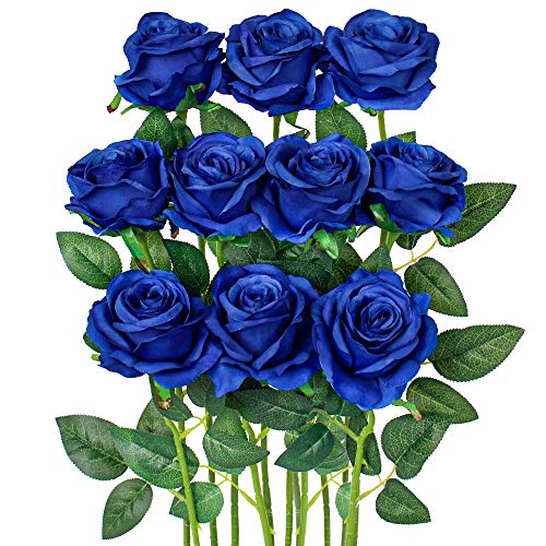 Solid Navy Blue