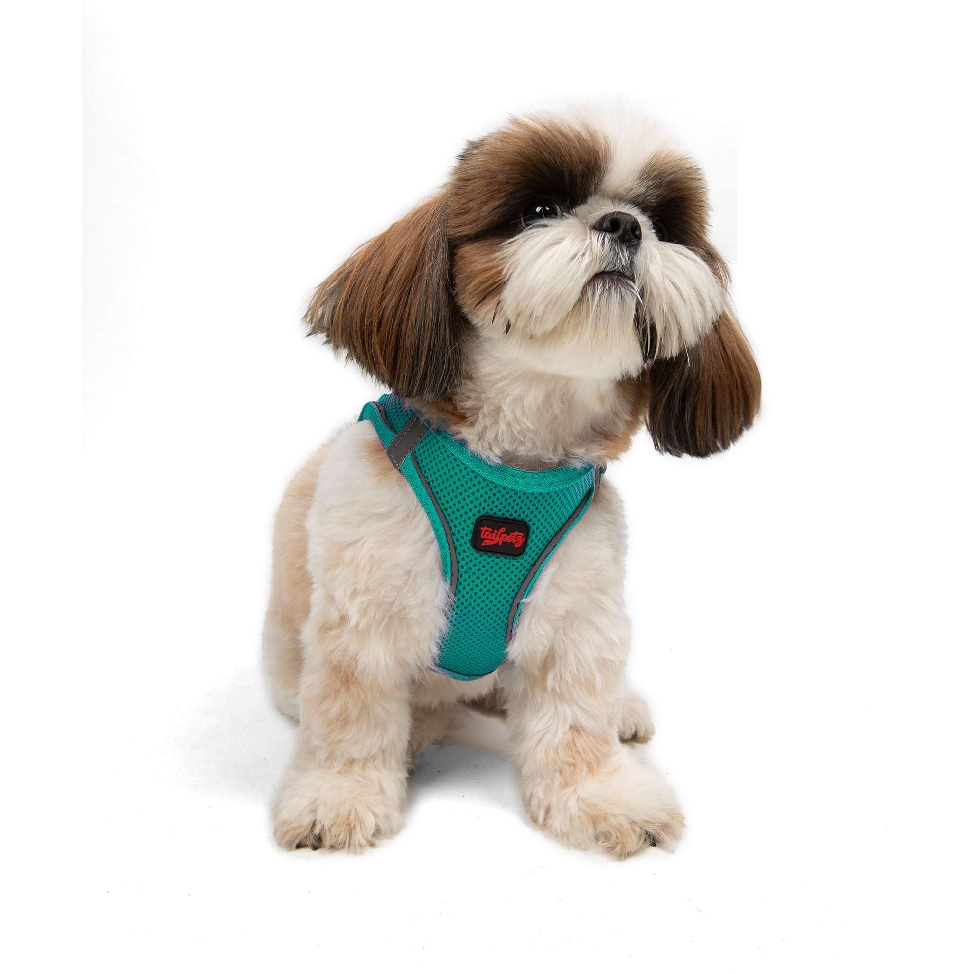 Tailpetz Adjustable No-Pull Dog Harness for Small Dogs - Dark Green Reflective Puppy Training Harness, Step-in Design for Easy Wear, Perfect for Walks & Outdoor Adventures (Size S)