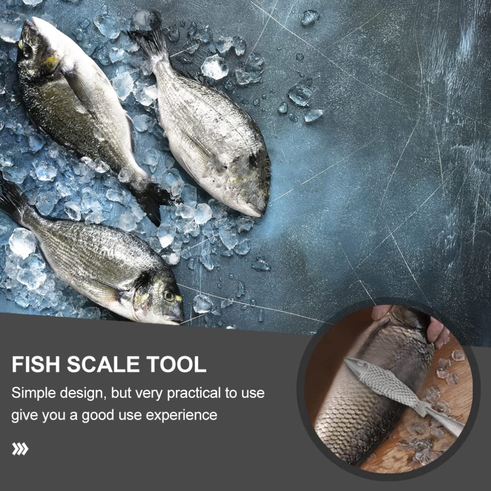 Hemoton Fish Scale Remover & Cleaner - Stainless Steel Fish Scaler Tool for Kitchen, Camping, Fishing - Perfect for Salmon, Tilapia, Bass & Seafood Preparation