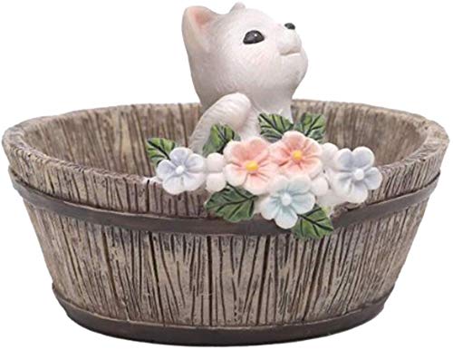 Succulent Plant Pot with Cute Kitten Design - Ceramic Flower Pot for Indoor Plants, Home & Office Decor | Perfect for Succulents, Cacti, Small Plants