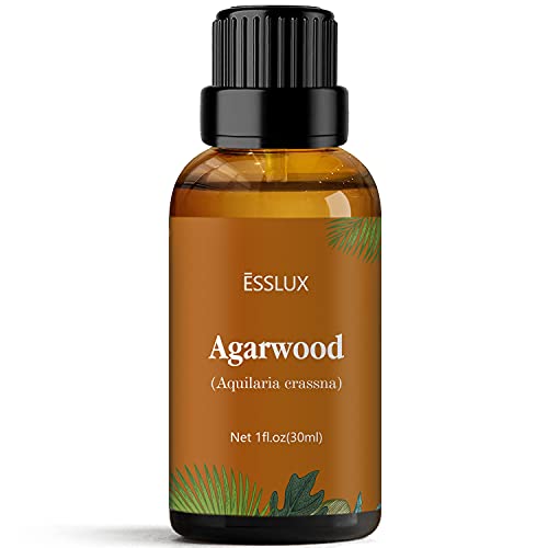 Agarwood