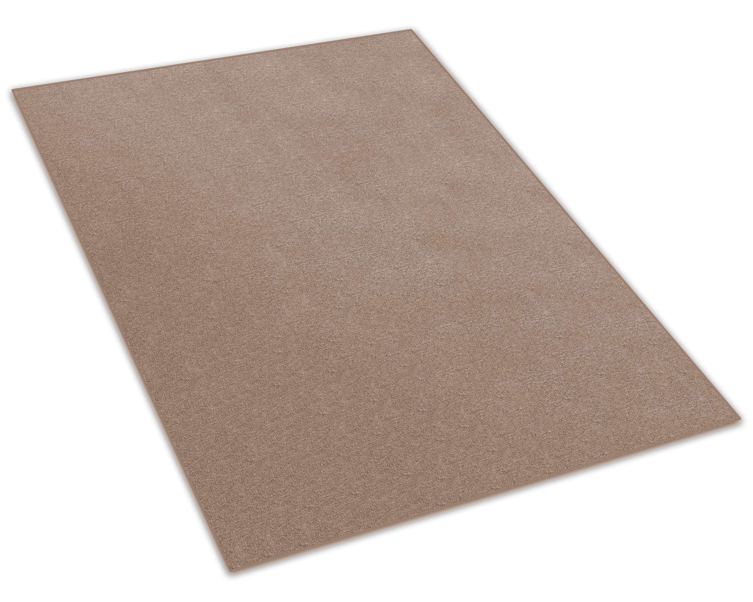 4'x6' Sage Brush Indoor Outdoor Area Rug - Premium Nylon Fabric with Finished Edges - Perfect for Living Room, Bedroom, Patio & Entryway Decor