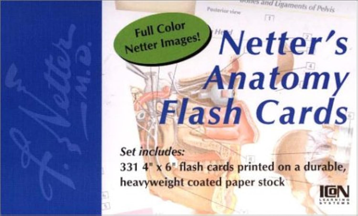 Netter's Anatomy Flash Cards - Premium Medical Study Cards for Students & Professionals | Perfect for USMLE, NCLEX & Medical School Exam Prep