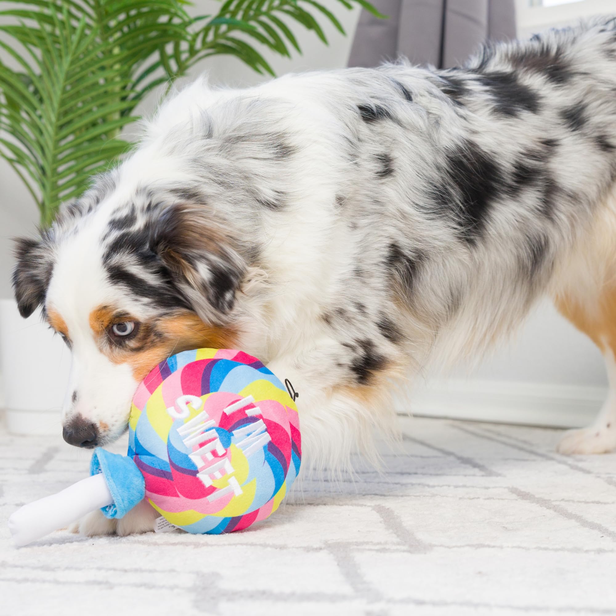 Huxley & Kent Squeaky Plush Dog Toy - Large Sweet Lollipop Design | Easter Spring Funny Pet Gift with Squeaker | Durable & Safe Chew Toy for Dogs | Perfect for Playtime, Training Rewards, and Holiday Gifting