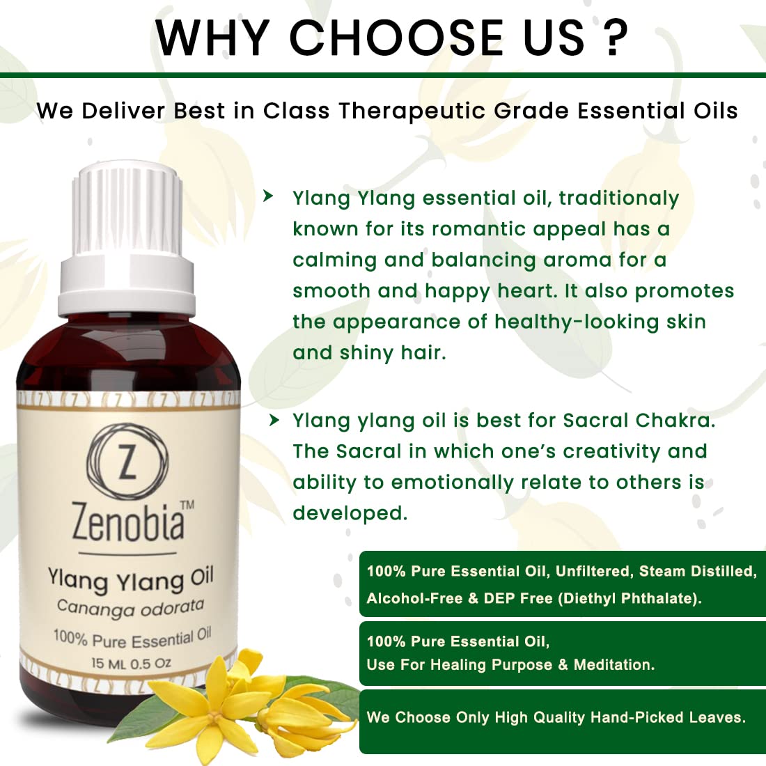 Zenobia Ylang Ylang Essential Oil - 100% Pure Natural Therapeutic Grade for Hair Growth, Beard Care, Skin Moisturizer & Aromatherapy - 15ml - Perfect for DIY Beauty, Massage & Relaxation at Home