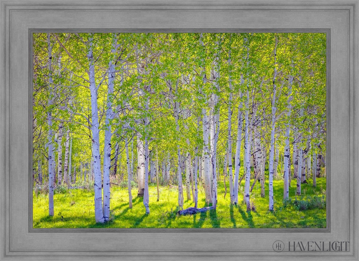 Stunning Early Morning Light in Wasatch Backcountry - Perfect for Landscape Photography & Outdoor Adventures