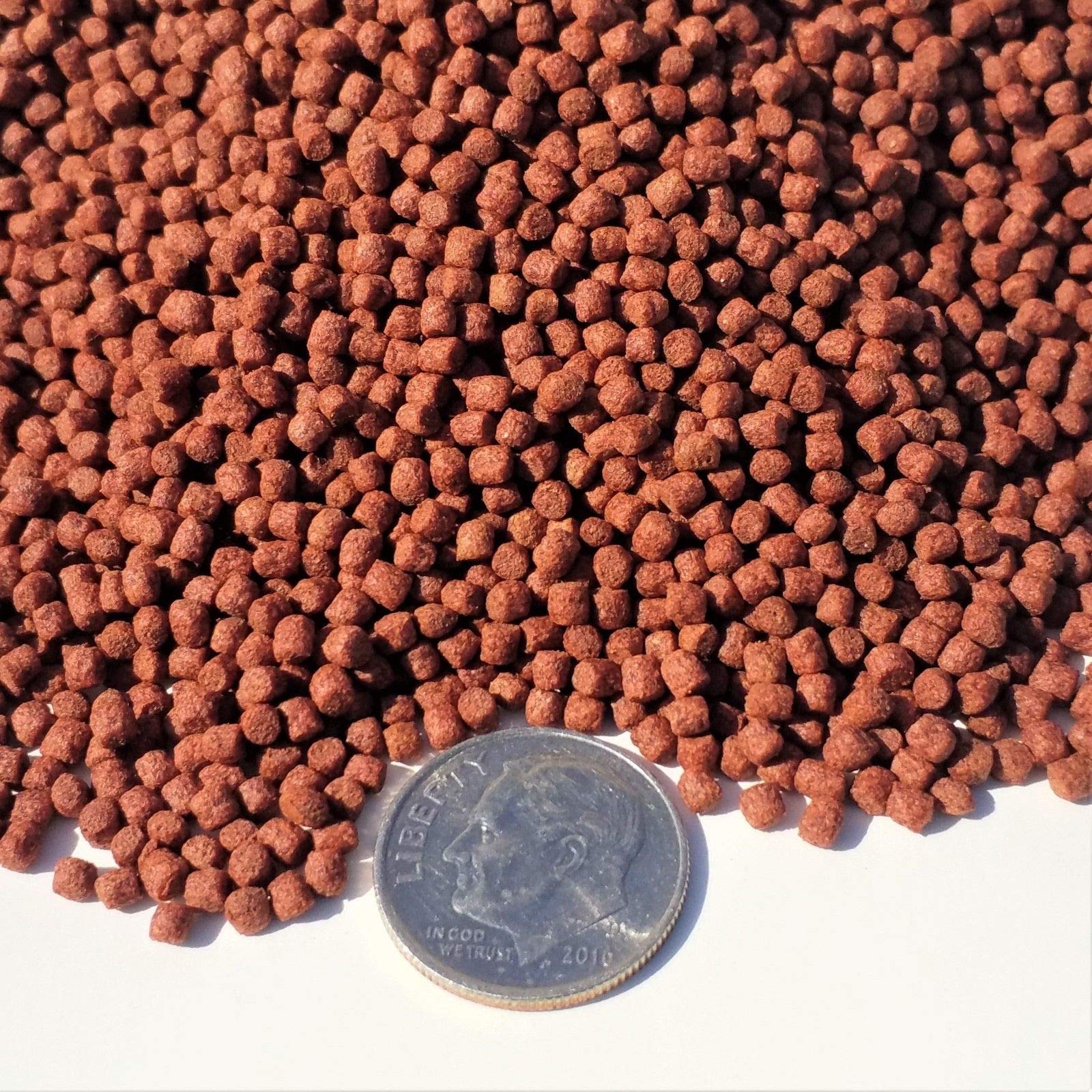 Premium 2mm Ultra Intense Color Enhancing Floating Pellets for Discus, Cichlids & Tropical Fish - 7-10 Day Supply | Enhances Vibrant Colors | Ideal for Aquariums & Fish Tanks