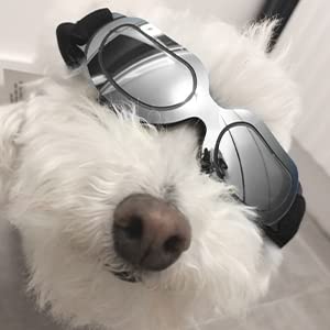 PEDOMUS Small Dog Sunglasses - Adjustable UV Protection Dog Goggles for Small Breeds, Silver Frame - Perfect for Outdoor Adventures, Hiking, and Sunny Day Walks