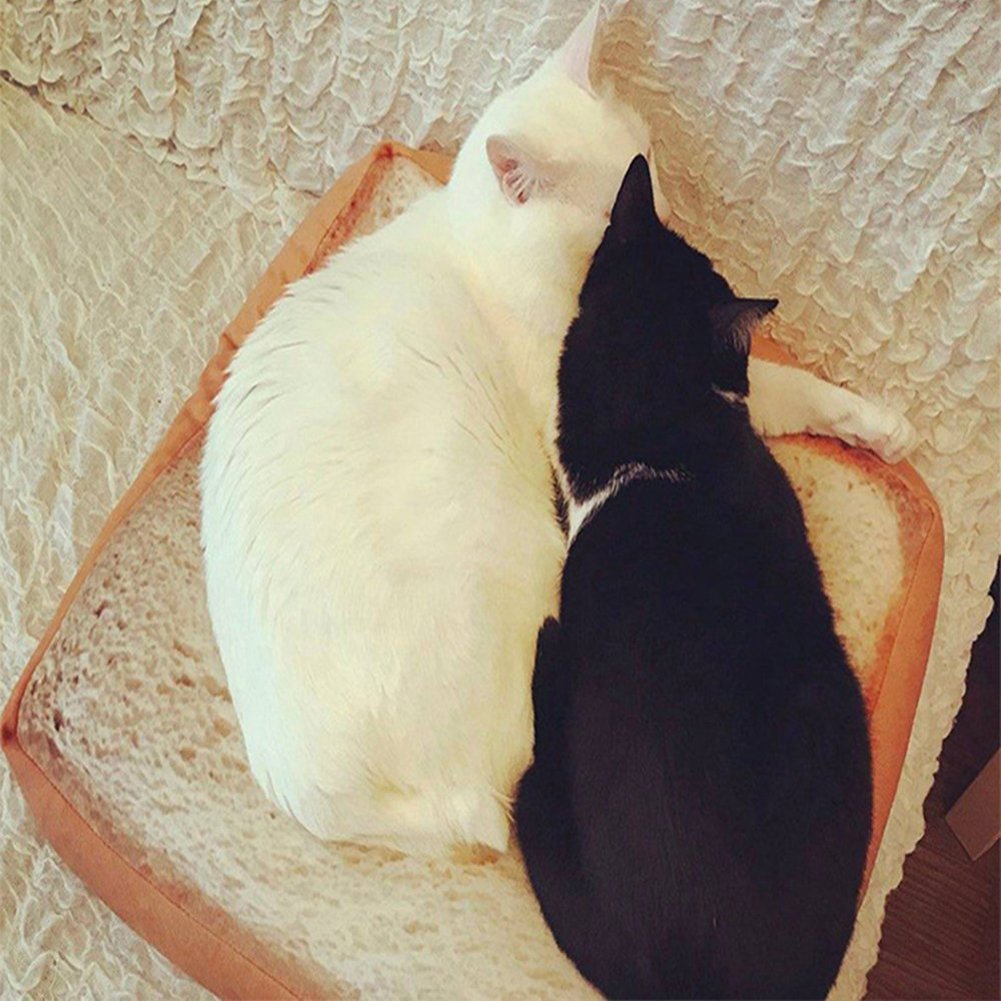 **Soft Cat Cushion Bed - Cozy Pet Mattress for Small & Medium Dogs & Cats - Plush Toast-Shaped Bedding Pad for Sleeping, Resting & Play (15.7