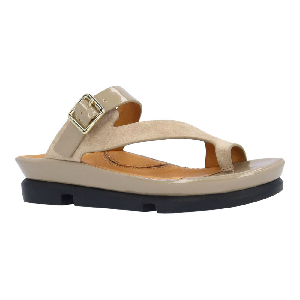 Alanza - Premium Quality [Product Category] for [Target Audience] | Perfect for [Use Case/Scenario] | Fast Shipping & Excellent Customer Service