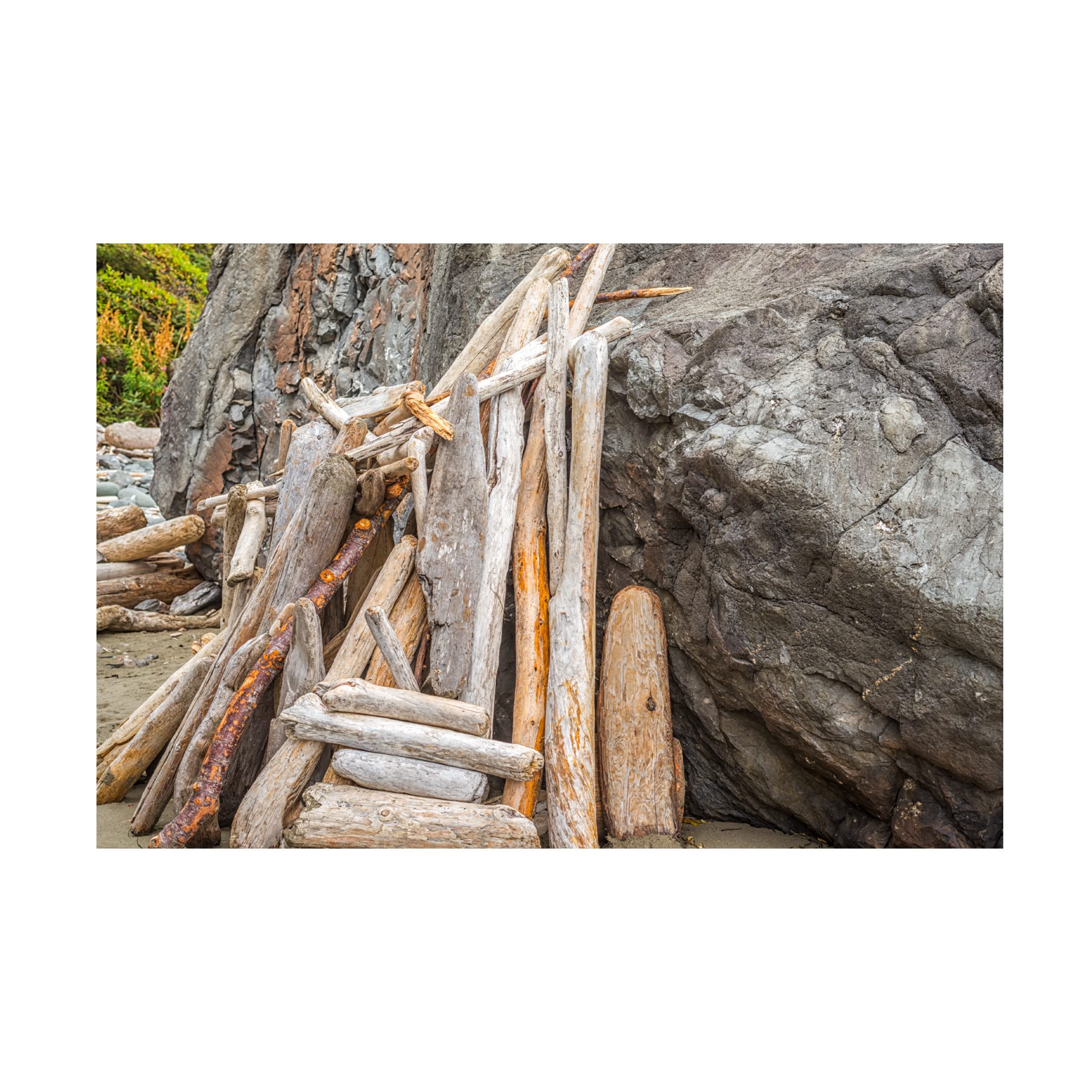 Bundle of Driftwood Beauty Canvas Wall Art by Joseph S Giacalone - 16x24 Inches Coastal Home Decor for Living Room, Bedroom & Office