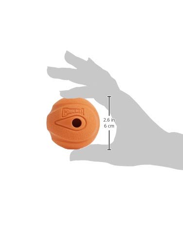 Chuckit Gen 1 Fetch Pack Dog Balls - Interactive Dog Toys for Training & Play, High-Bounce Fetch Ball with Floating Ultra & Rugged Design, Durable Medium Size 2.5-inch Diameter (Set of 3) - Perfect for Beach, Park & Backyard Fetch Games