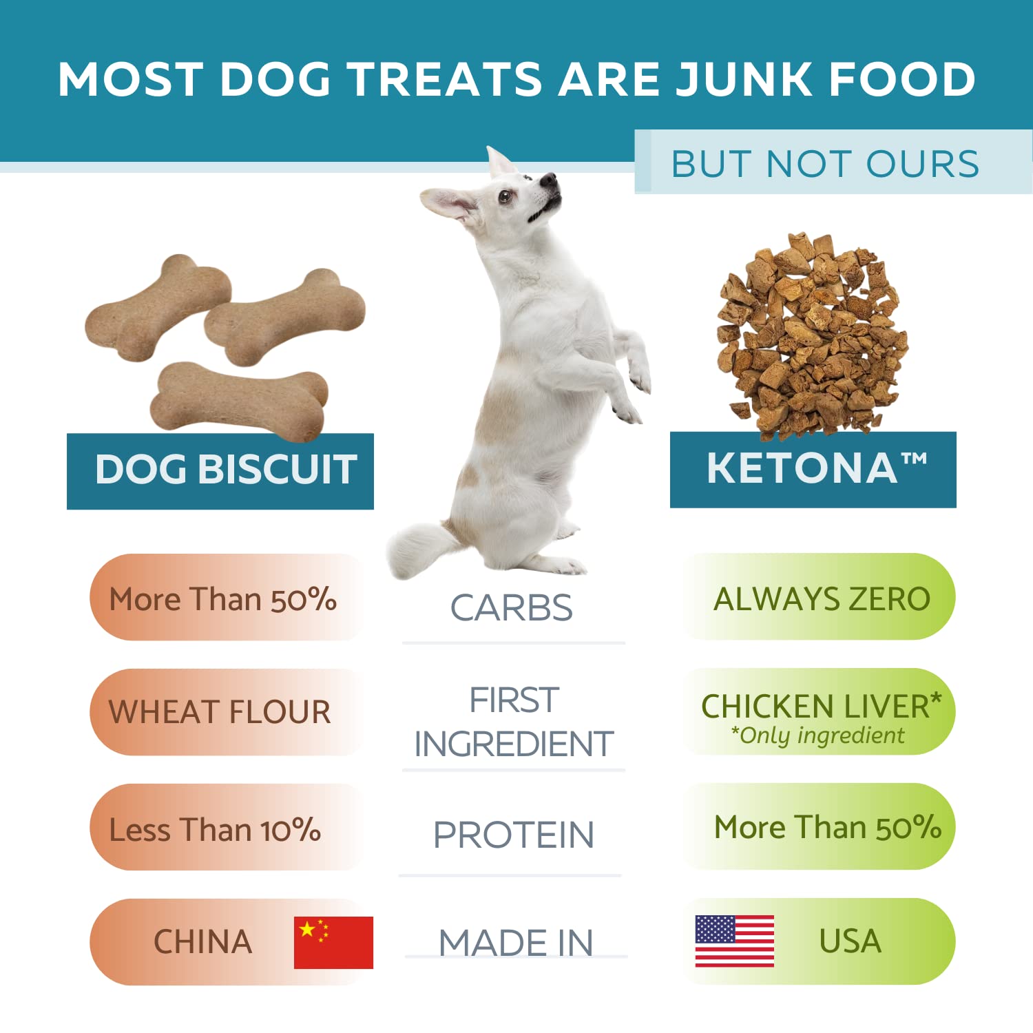 Ketona Salmon Recipe Dry Dog Food (24.2lb) & Chicken Liver Dog Treats Bundle - High Protein Low Carb Dog Food for Weight Management - Raw Diet Nutrition with Kibble Convenience - Perfect for Adult Dogs & Puppies with Sensitive Stomachs