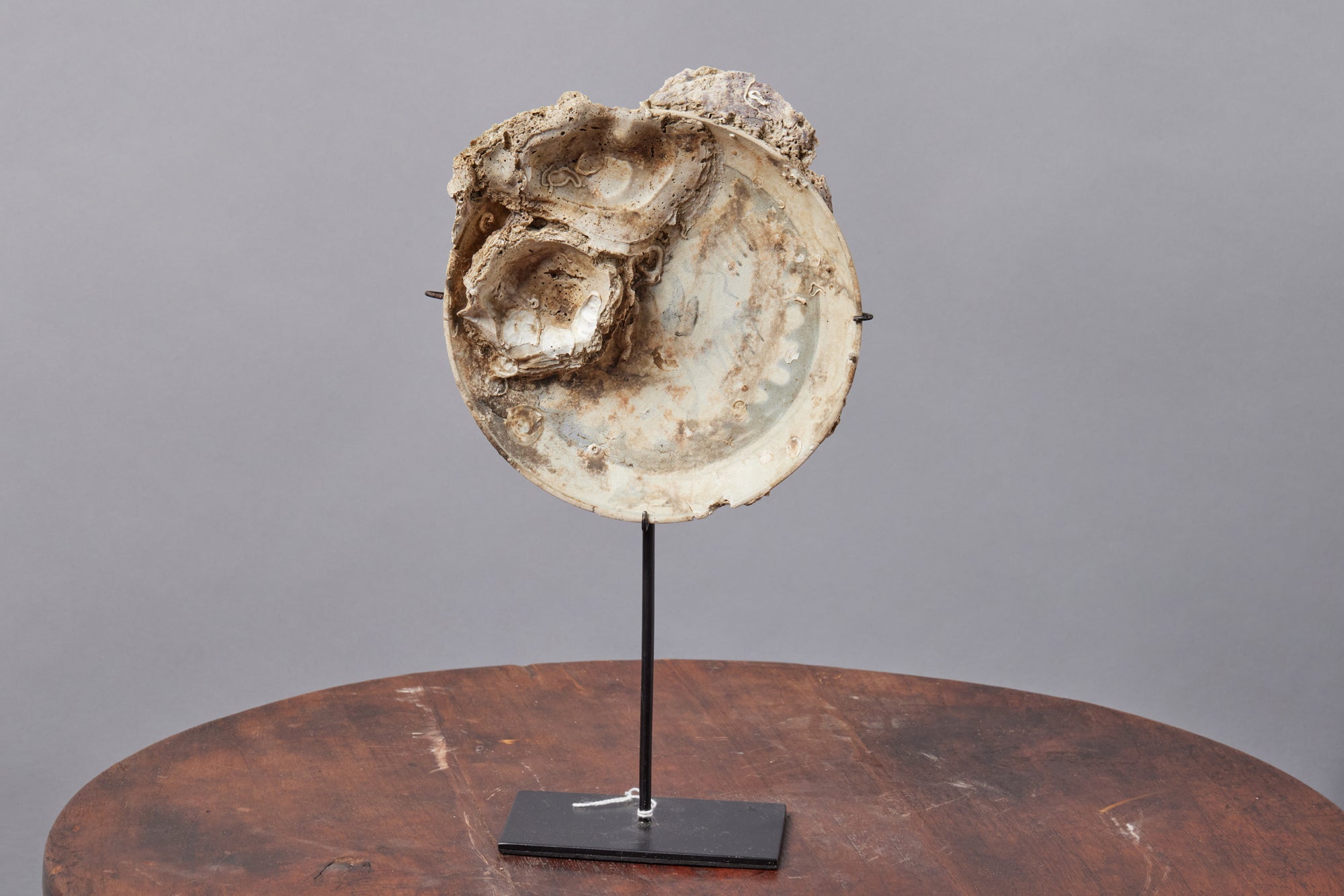 18th-19th Century Antique Blue & White Chinese Export Shipwreck Plate - Display Stand Included - Perfect for Home Decor, Collector's Showcase & Maritime History Enthusiasts