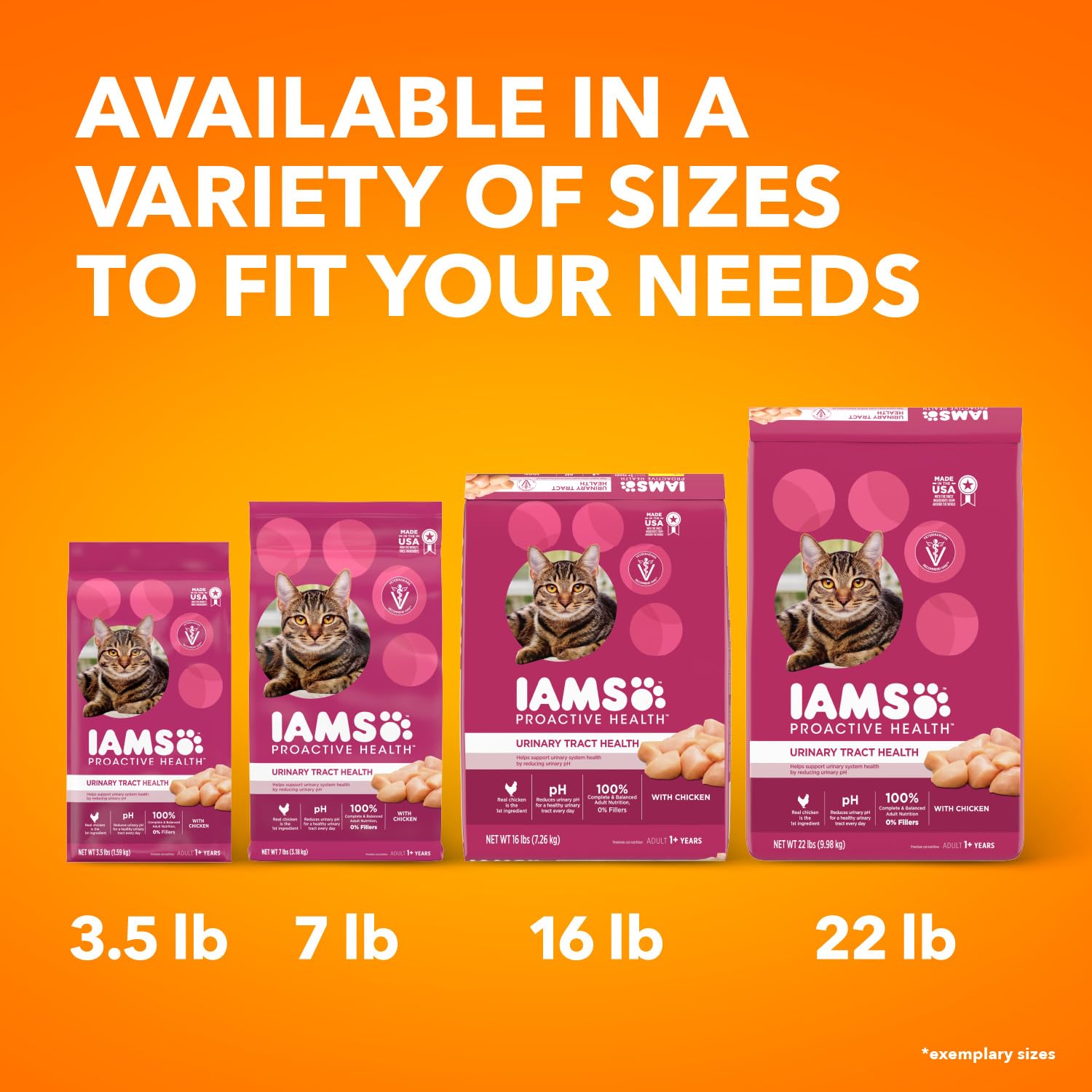 IAMS Proactive Health Adult Urinary Tract Healthy Dry Cat Food with Chicken - 16 lb Bag | Supports Urinary Health for Indoor Cats & Senior Cats