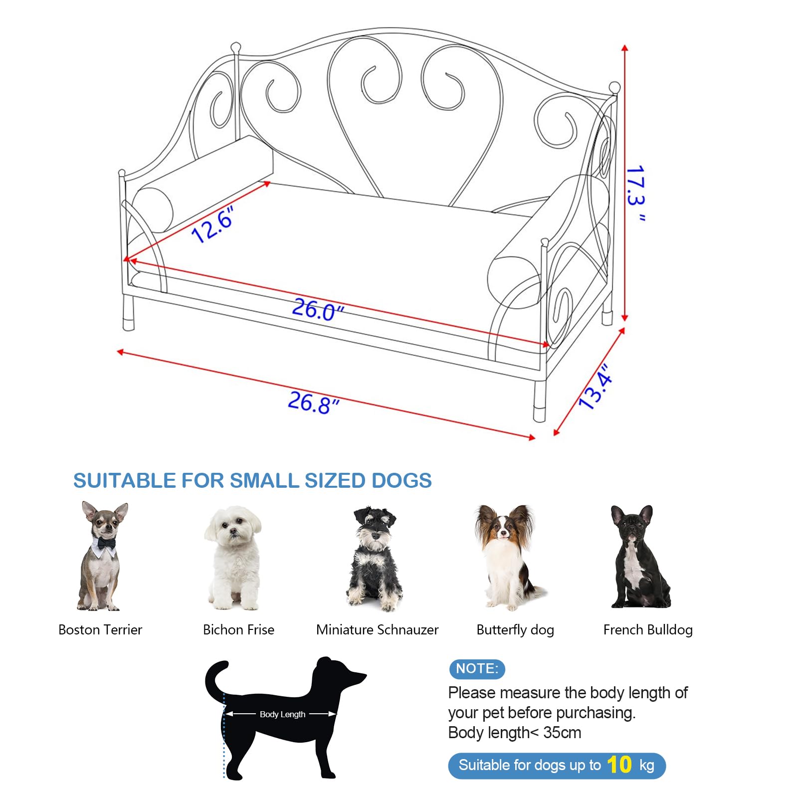 Premium Pet Bed for Dogs & Cats - Sturdy Iron Frame, Removable Washable Cushion - Comfortable Dog Sofa Chair with Breathable Fabric - Perfect for Living Room, Bedroom & Summer Use (Black)