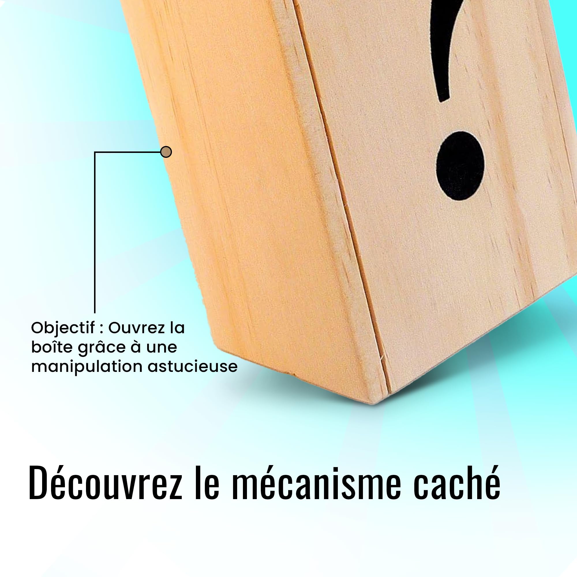 Logic Puzzle Wooden Box - Secret Box Collection Leonardo da Vinci - Level 5/6 Difficulty Brain Teaser - Perfect for Family Game Night & Intellectual Challenges