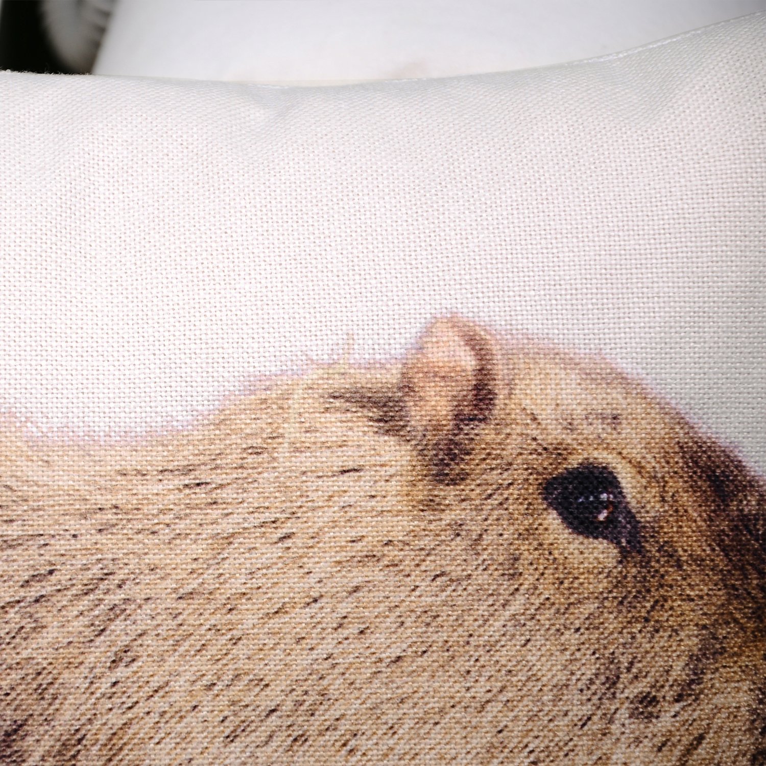 CaliTime 18x18 Inch Capybara Print Canvas Throw Pillow Cover - Decorative Sofa Couch Pillow Case for Living Room, Bedroom Home Decor - Perfect for Cozy Home Styling and Animal Lover Gifts
