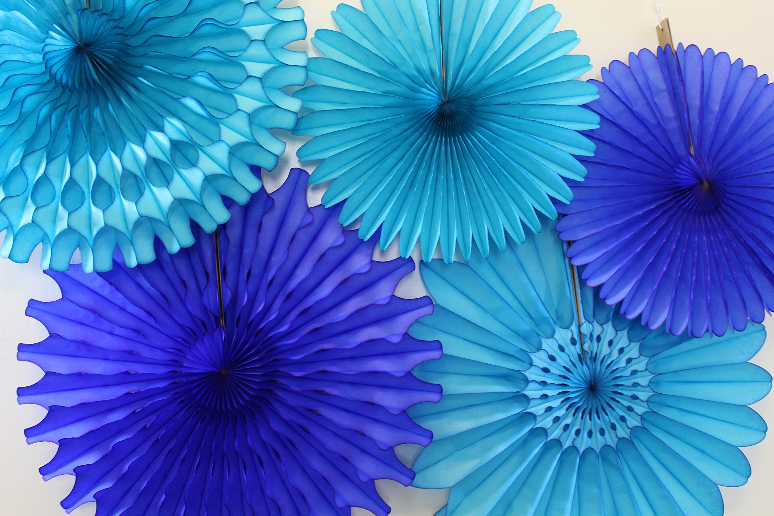 5-Piece Honeycomb Tissue Paper Fans - Blue Skies Decorative Party Fans for Weddings, Baby Showers & Home Decor