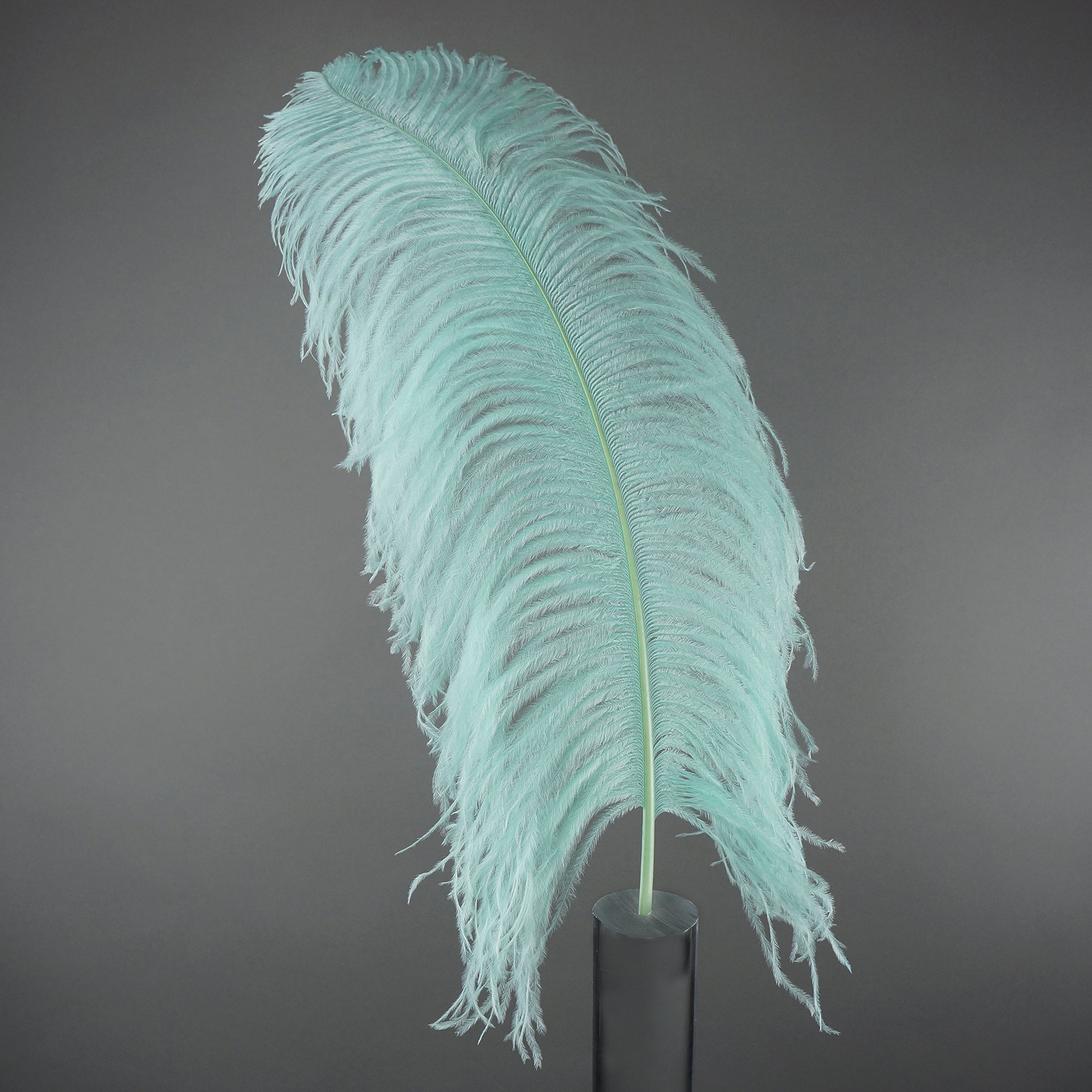 Premium Ostrich Feathers for Wedding Centerpieces & Home Decor - 17-25 Inch Tall Natural Drabs - 25pcs Bulk Pack - DIY Crafts, Event Decorations, Vase Fillers, Table Centerpieces - Mint Green