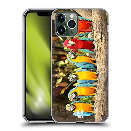 Sitting Macaw Parrot Pairs
