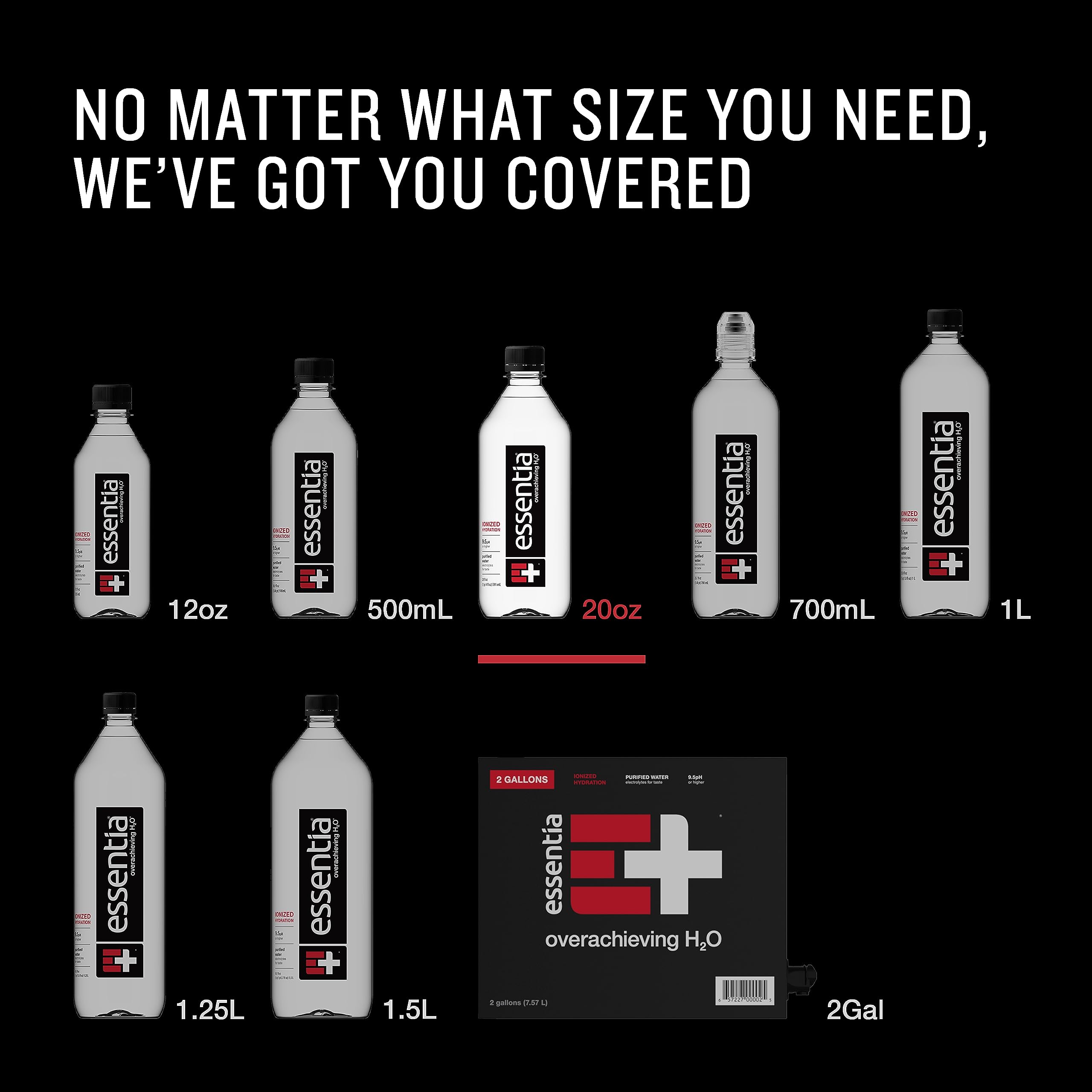 Essentia Alkaline Water - Ionized, 99.9% Pure, Electrolyte-Infused, pH 9.5+ for Smooth Taste, 20 Fl Oz (24-Pack) | Hydration for Fitness, Wellness & Daily Refreshment
