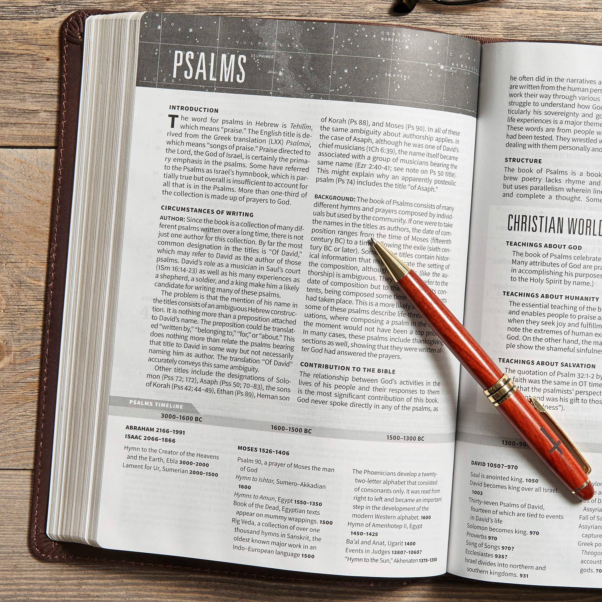 CSB Worldview Study Bible - Brown Genuine Leather Cover, ESV Translation | Perfect for Bible Study, Church Services & Personal Devotion
