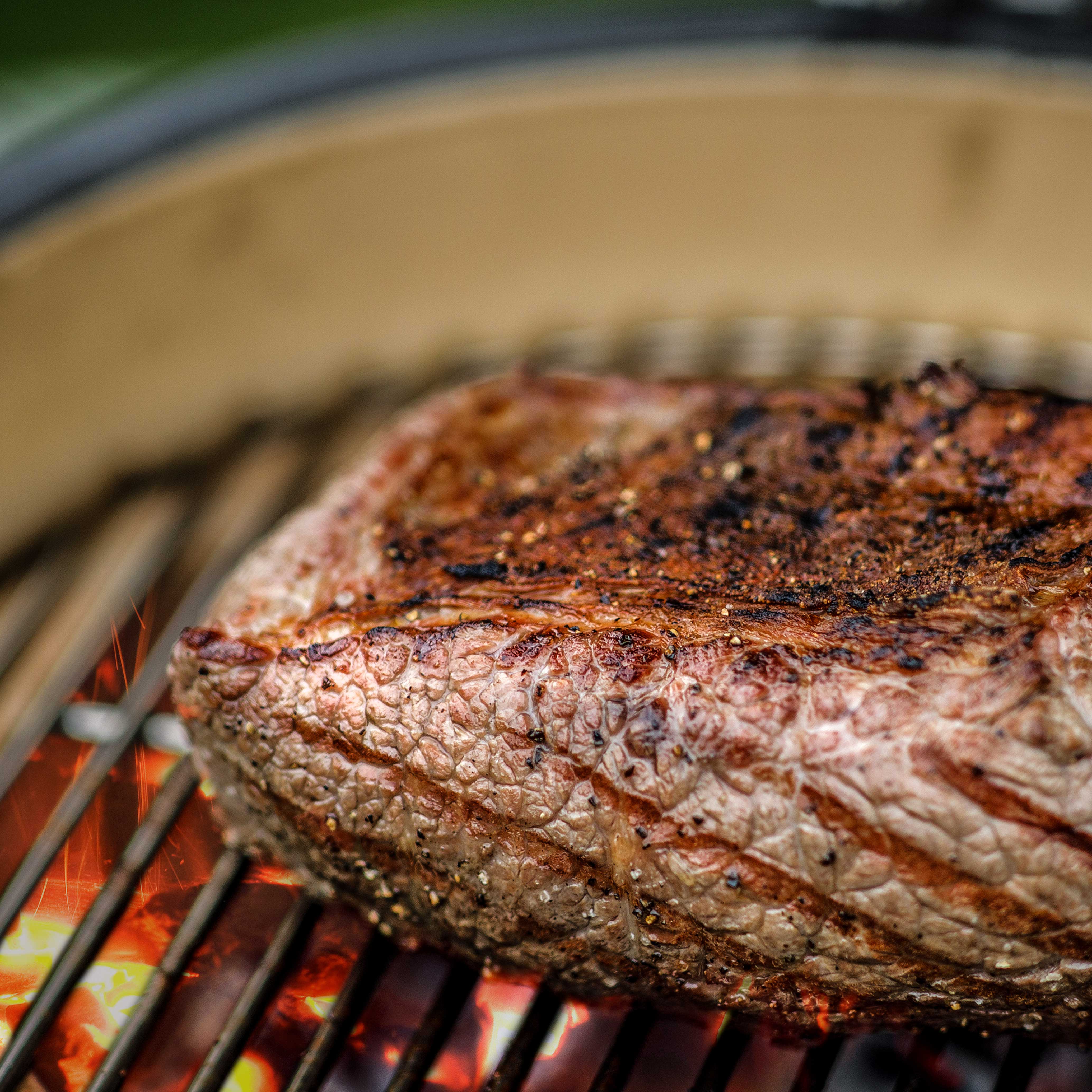 Premium Ceramic Kamado Grill & Smoker - 16 Inch (40cm) Outdoor Charcoal BBQ Oven for Backyard, Patio, and Camping - Perfect for Grilling, Smoking, Baking, and Roasting - Model DG158