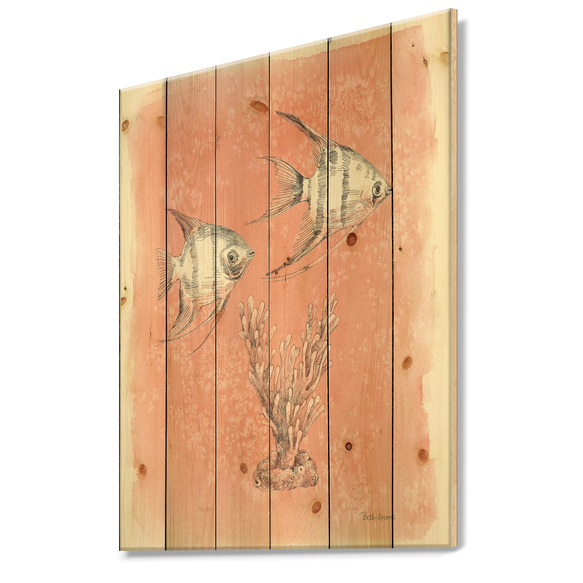 Coastal Sea Life Wood Wall Art - Fish Sketches on Pine for Beach House Decor