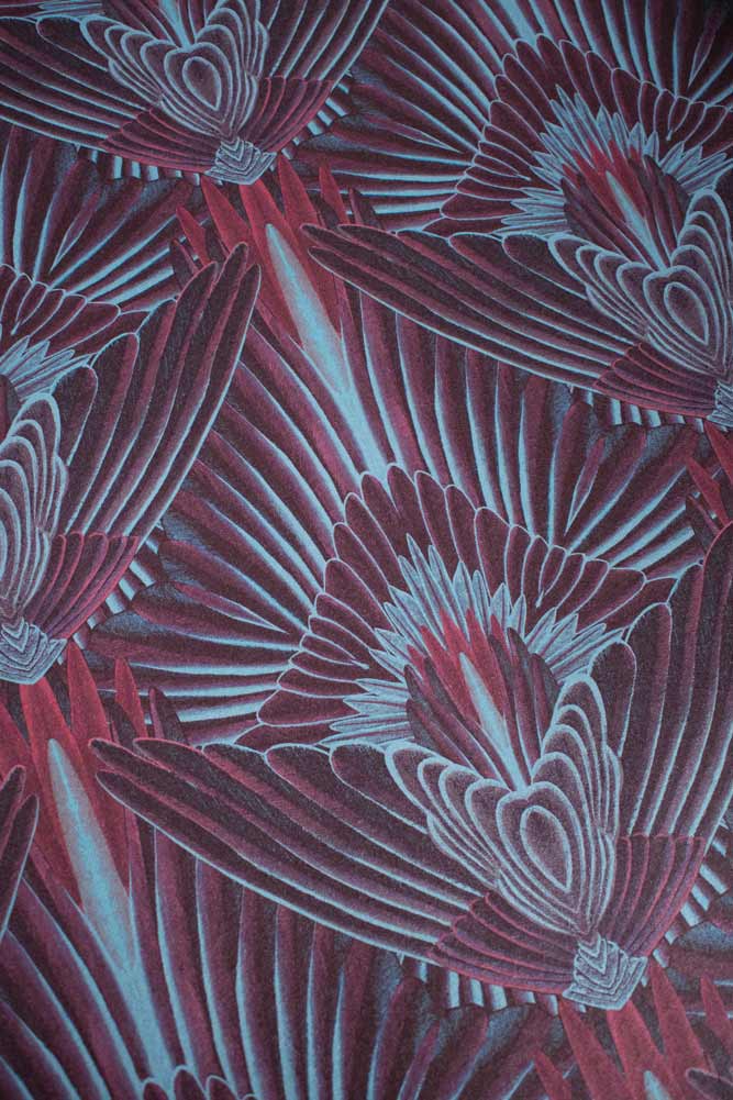Divine Savages Gershwing Macaw Peel and Stick Wallpaper - Tropical Bird Removable Wallpaper for Living Room, Bedroom, Nursery Decor