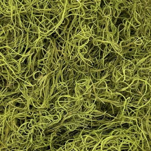 Chartreuse