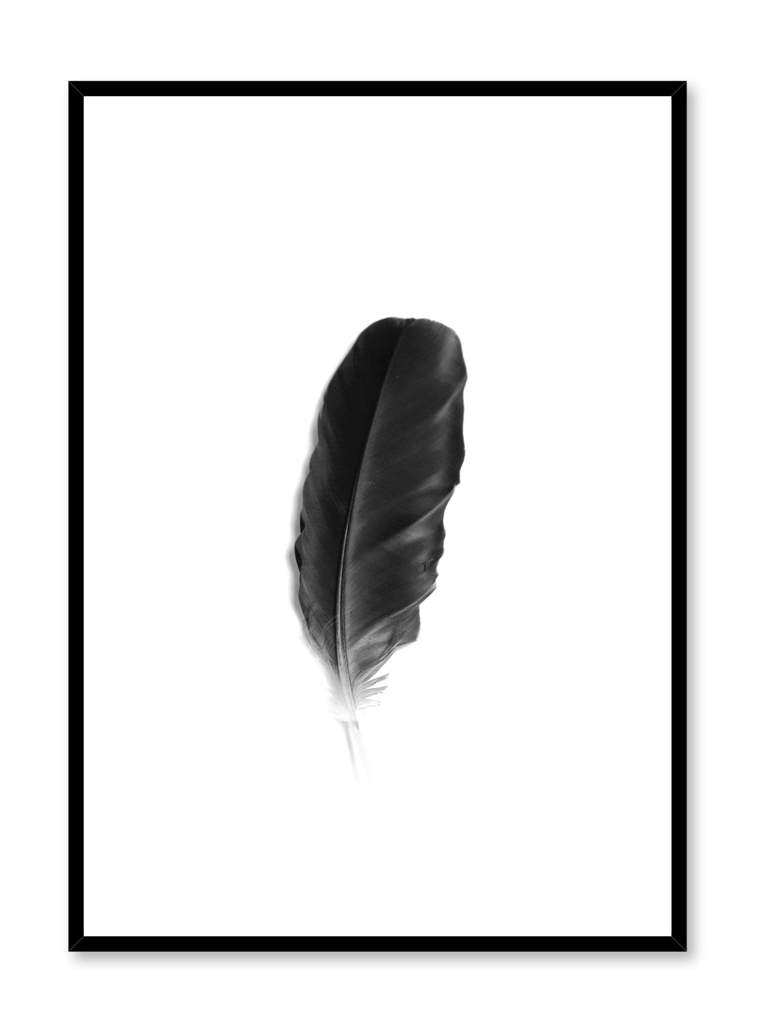 Fine Feather Poster - Elegant Wall Art Decor for Home & Office - Perfect for Living Room, Bedroom, and Workspace