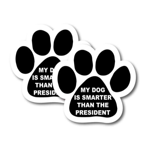 Dog Smarter