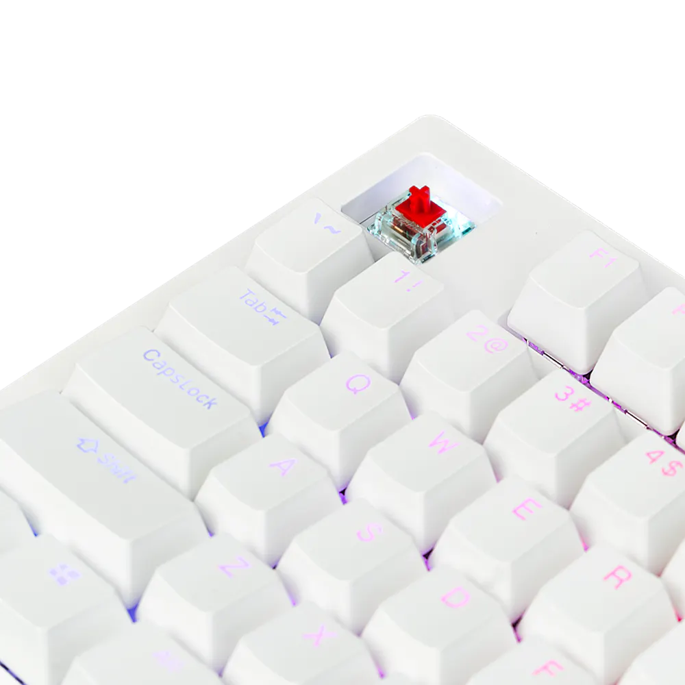 Aftershock Oden V2 TKL 87-Key Wired Mechanical Gaming Keyboard (White) - Compact Design for PC Gamers & Office Work