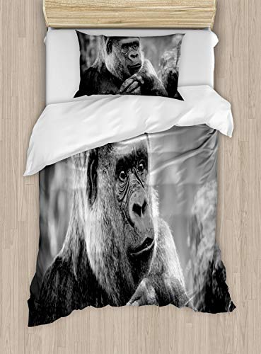 Dimgray Charcoal Grey